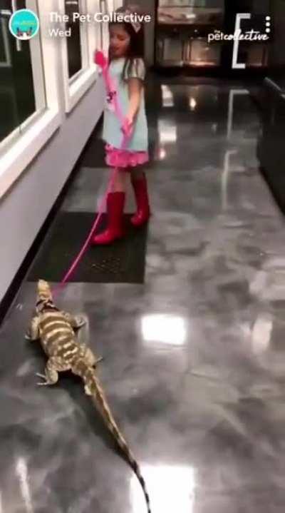 Lizard makes her die inside