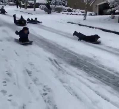 Someone called the cops on kids sledding down the road so the police investigated