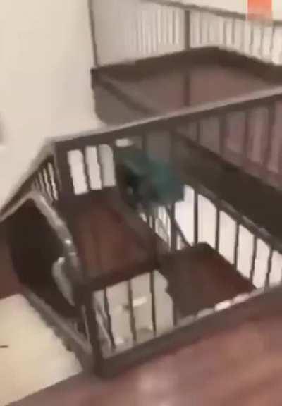 HMFT after &quot;Hey i'm so buttery smooth, you wanna watch me slide down this banister?&quot;