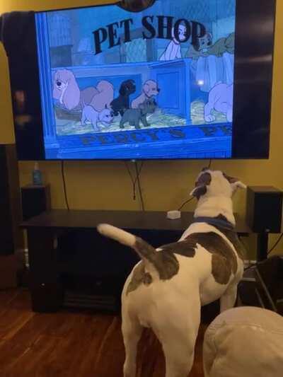 101 Dalmatians- best movie ever (according to Moose)