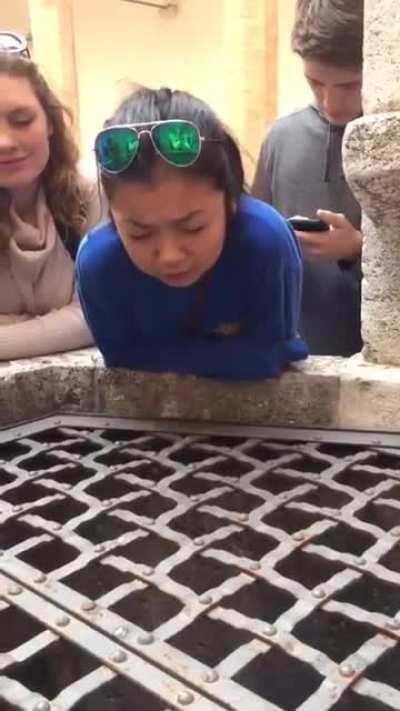 This lady singing “Hallelujah” into a well