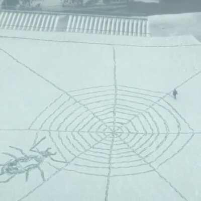 Nazca Snow Spider