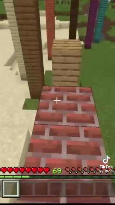 What a jumping [Minecraft]