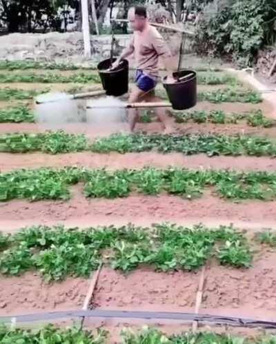 well thought out method of irrigation.