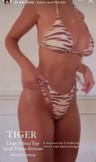 Tiger suit 2