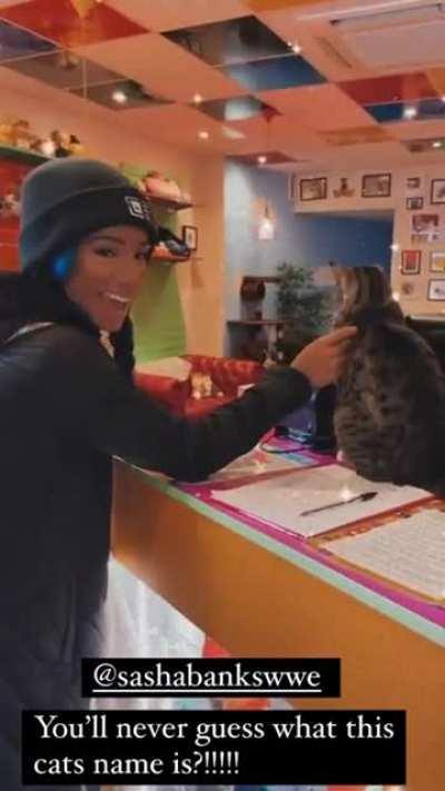 Nattie and Sasha go to a cat cafe and meet a cat named Charlotte. Sasha: You’re out to get me everywhere I go huh?