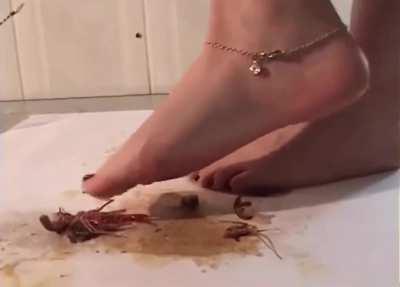 Female feet vs lucky crawdads 