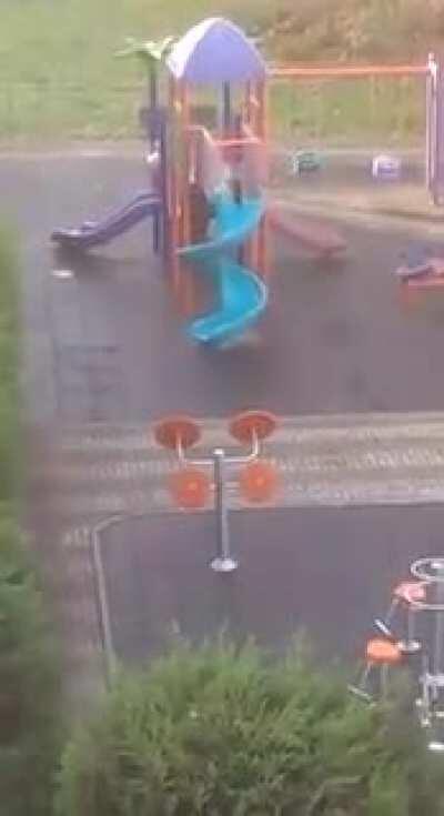 This cat enjoying a slide.