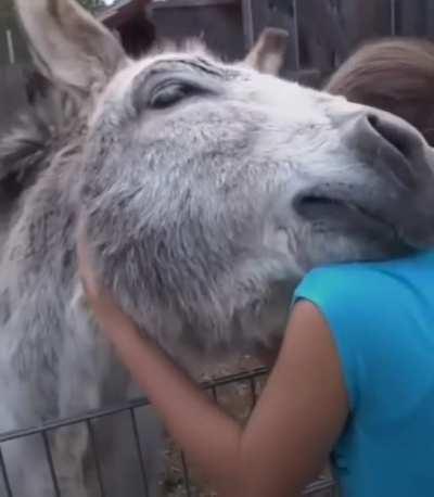 This donkey is reunited with the girl who raised it.