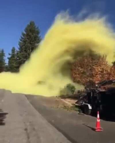 The pollen in this tree