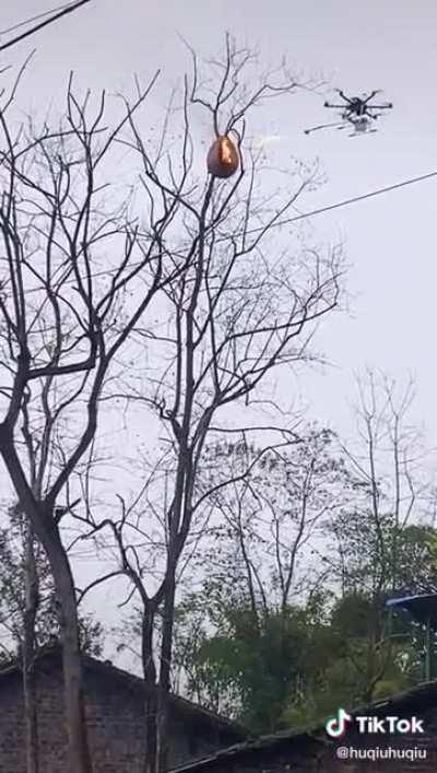 A drone with a flamethrower destroying a wasp's nest