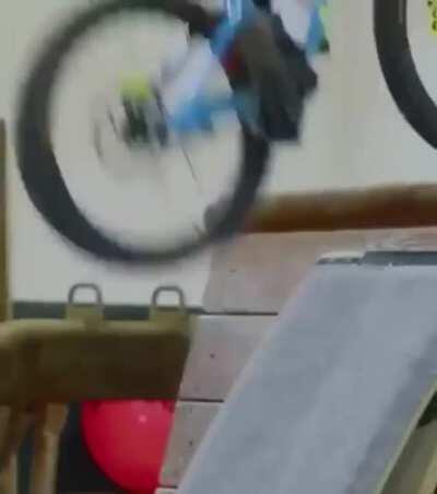 Insane Bike Skills