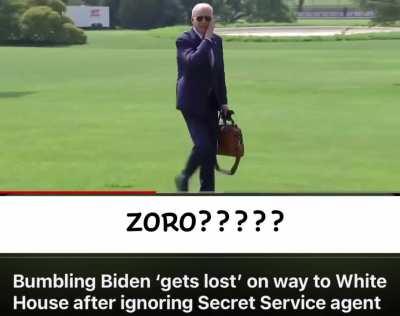 Zoro is Joe Biden?