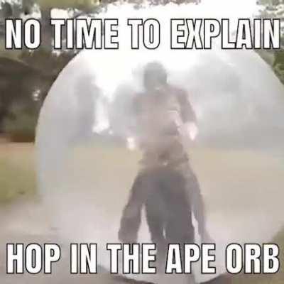 hoping into the ape orb 🦧