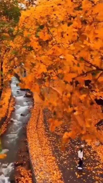 Autumn in Almaty, Kazakhstan