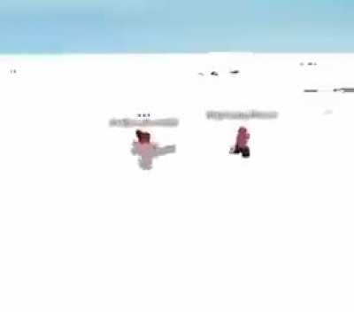 man the new roblox update is wild...