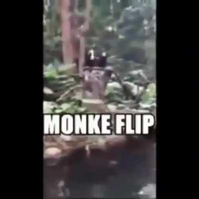 Monke flip