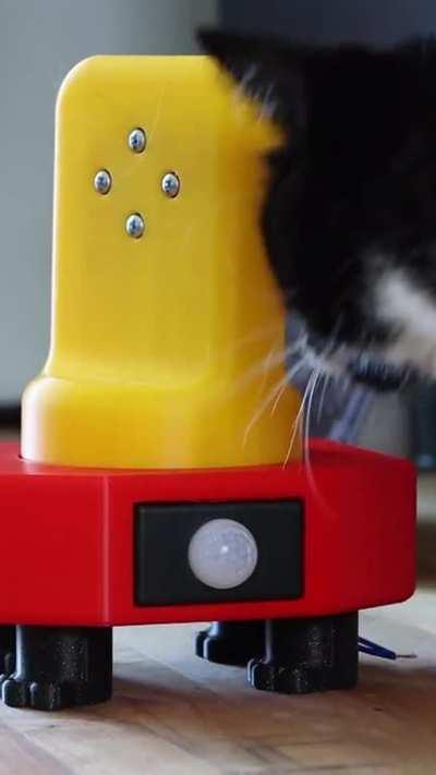 I build random inventions and this one prevents your cat from walking on your keyboard.