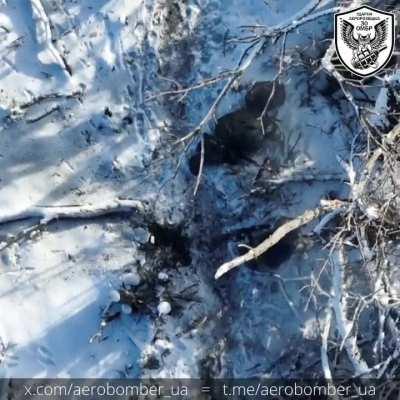 Drone dropped grenade on russian infantry by the 30th brigade (musoc from source)