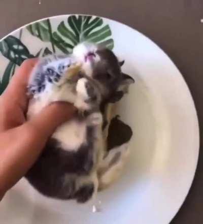 dIsgUsTInG PsycHo EAts bUnNy aliVe! (VErY dIsturbINg, Do not Watch!)