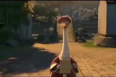 Kung fu panda