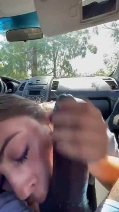 Sucking a BBC in the car