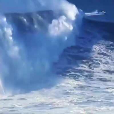 Rodrigo Koxa sets record for biggest wave ever surfed