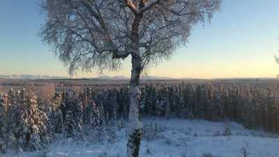 5 hours, 44 minutes of daylight, Kenai Mountains! Shortest day of the year!