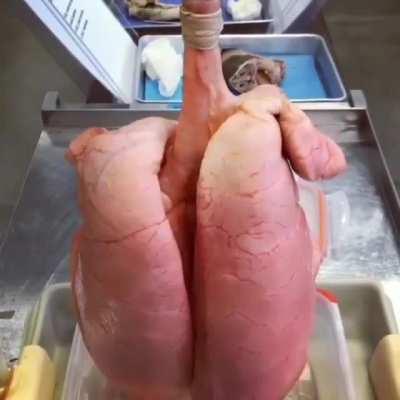 Just a pair of normal lungs