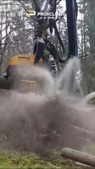 Tree Cutting Technology