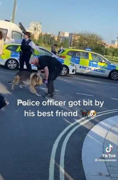 K9 turns and latches onto his police officer partner’s knee