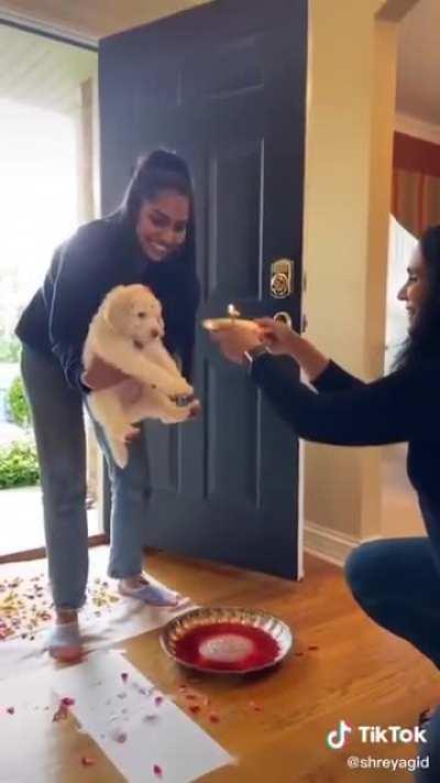 A Hindu family welcoming their new puppy with traditional ceremonies .