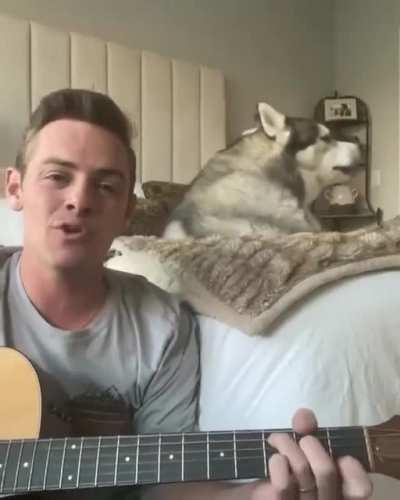 Awooo duet!