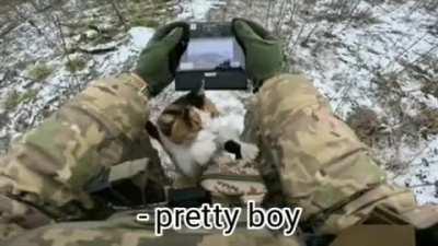 Cat climbs a Ukrainian soldier operating a drone