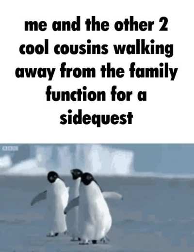 memes