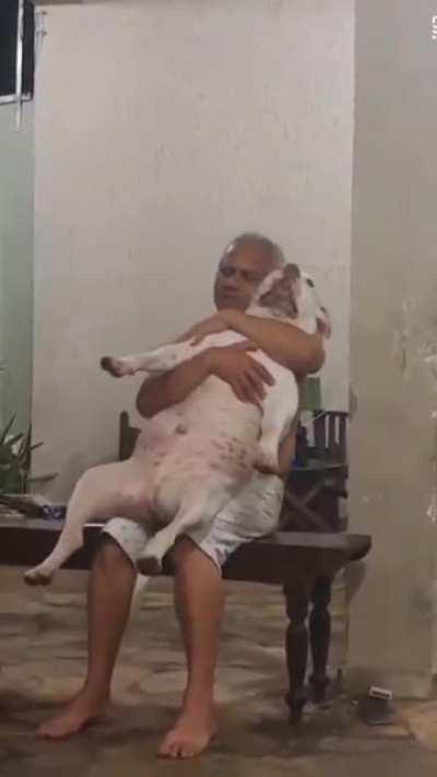 My father: I don't care about dogs here at home. My father too: