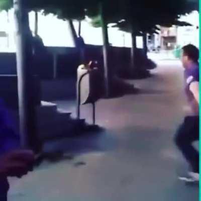 WCGW 1v1 moron versus trashcan