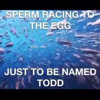 Todd = idiot