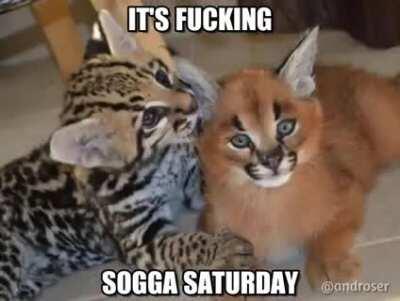 SOGGA SATURDAY