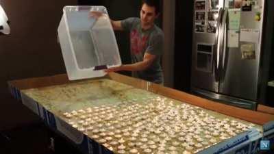 Extinguishing 300 candles with sulfur hexafluoride