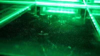 Ambient radiation caused by cosmic rays, viewed with a large cloud chamber.