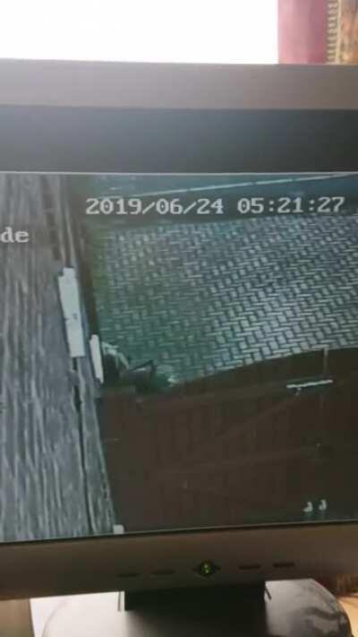 Two vandals broke one of the flower pots in my driveway this morning. Bet they didn't realise I have CCTV