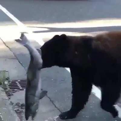 🔥 Black bear mama caught dinner for her baby