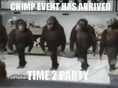 Planned chimp event. Release the chimps.