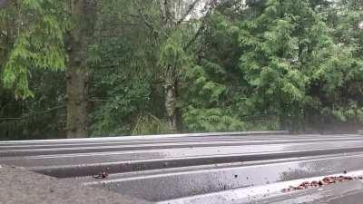 Summer rain on Canadian tin roof