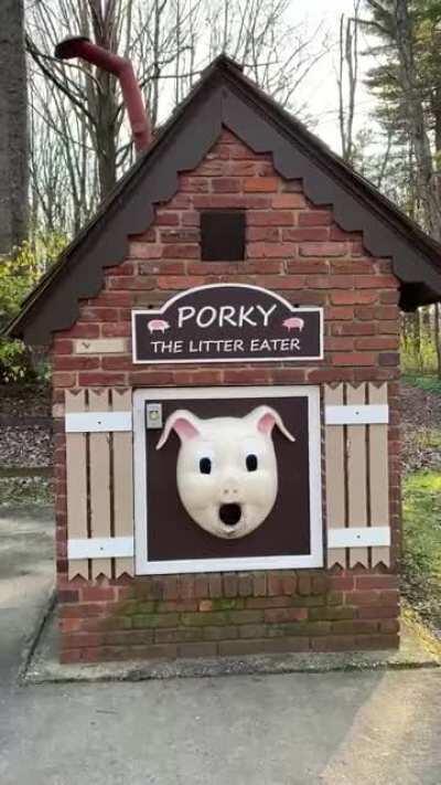 Porky is hungry