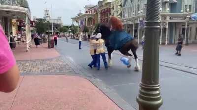 What could go wrong letting go of my balloon next to a horse?