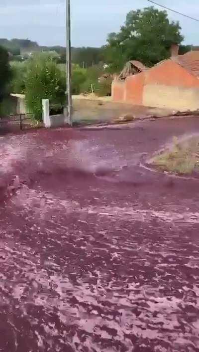 Two large wine containers broke yesterday in the town of Levira, Portugal, which lead to the streets being flooded with wine.