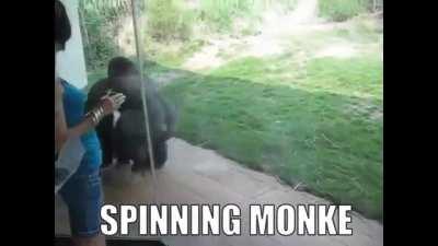 le spinning monke