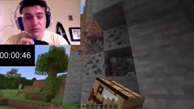 Minecraft Torch any% Glitchless World Record